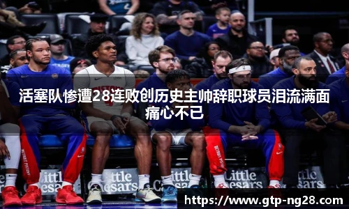 NG南宫28
